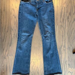 Hudson Jeans Y2K Blue Boot Cut Jeans